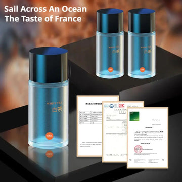 Long-Lasting Car Aromatherapy Refill