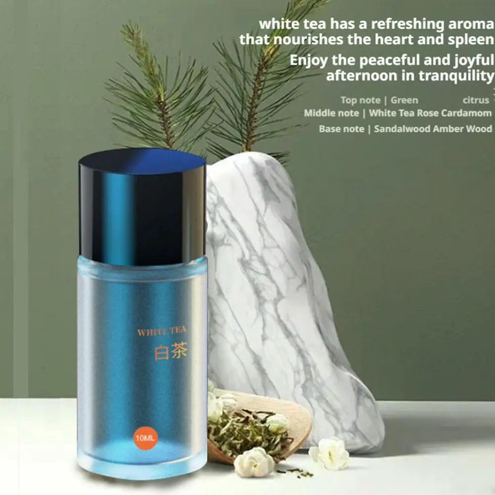 Long-Lasting Car Aromatherapy Refill